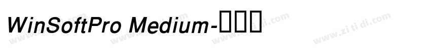 WinSoftPro Medium字体转换 WinSoftPro Medium字体转换